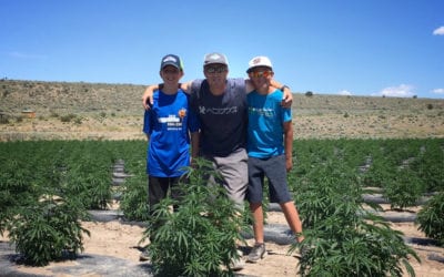 The ‘WHY’ behind my CBD oil business