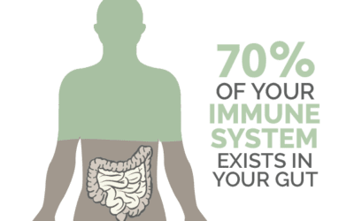 CBD AND GUT HEALTH: EXPLAINED BY ONE OF THE BEST CBD COMPANIES