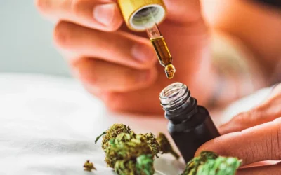 Everything Need To Know About 1000mg CBD Oil