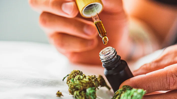 Everything Need To Know About 1000mg CBD Oil