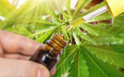 The Many Benefits Of 2000mg CBD Tincture For Your Well-Being